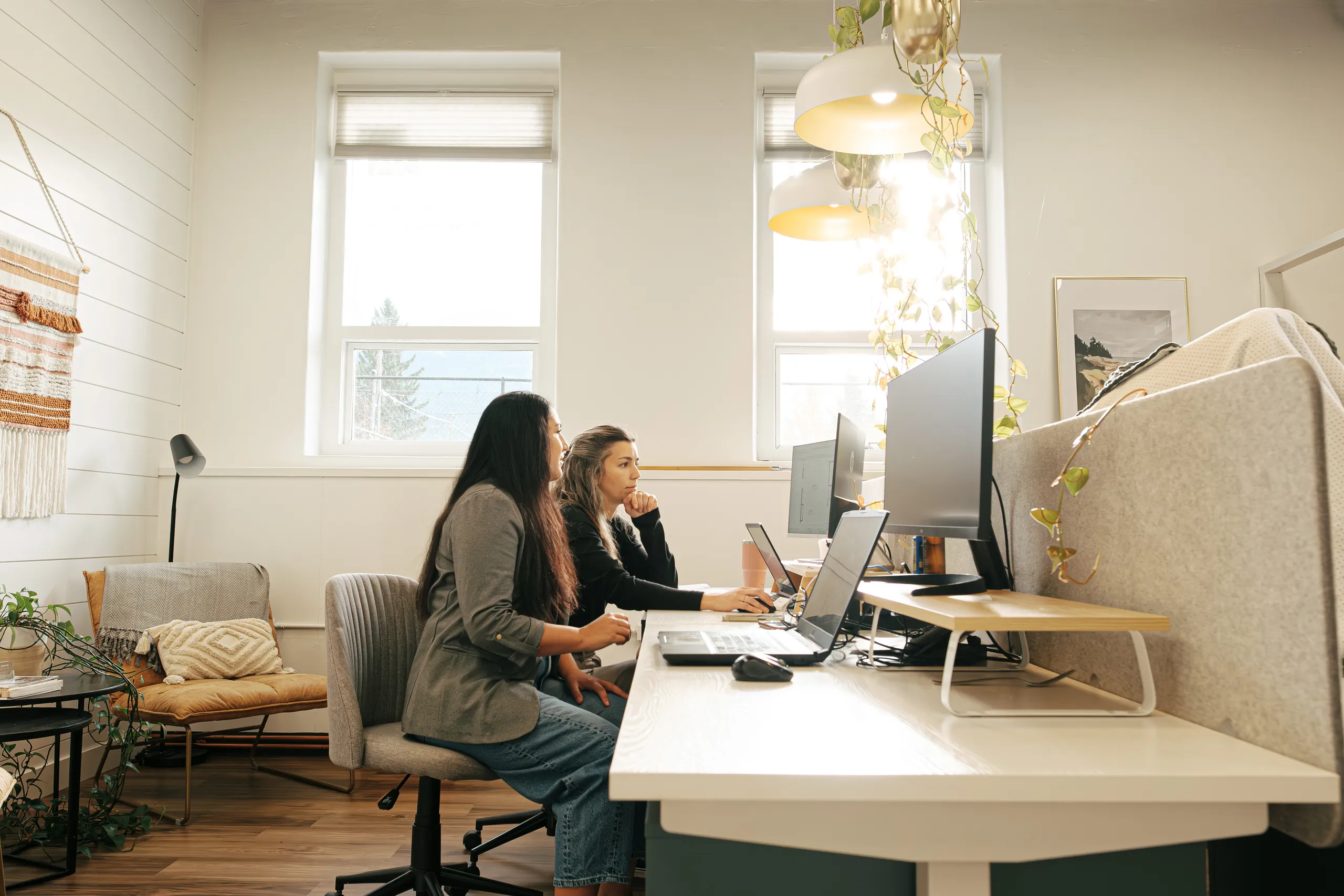 spruce arrow career 01